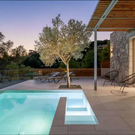 Alliopi Ein Blick Fuer Sinne