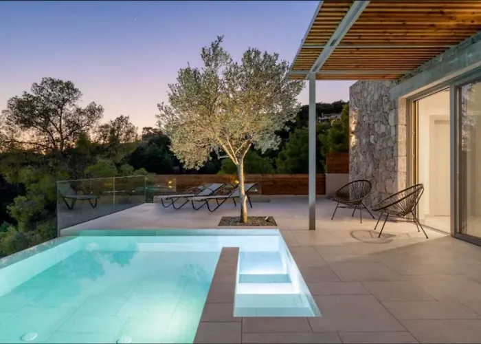 Alliopi Ein Blick Fuer Sinne